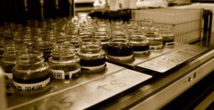 Oil & Diesel Samples